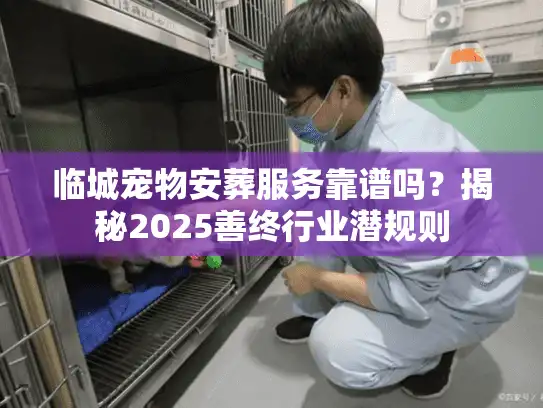 临城宠物安葬服务靠谱吗？揭秘2025善终行业潜规则