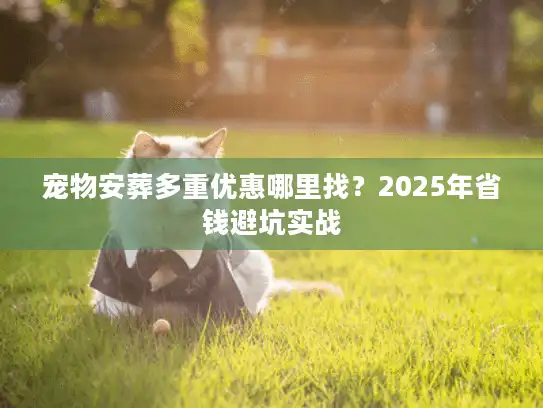 宠物安葬多重优惠哪里找？2025年省钱避坑实战