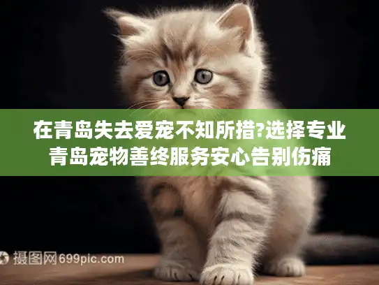 在青岛失去爱宠不知所措?选择专业青岛宠物善终服务安心告别伤痛