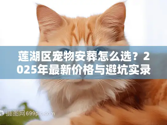 莲湖区宠物安葬怎么选？2025年最新价格与避坑实录