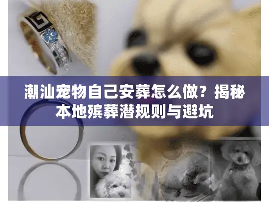 潮汕宠物自己安葬怎么做？揭秘本地殡葬潜规则与避坑