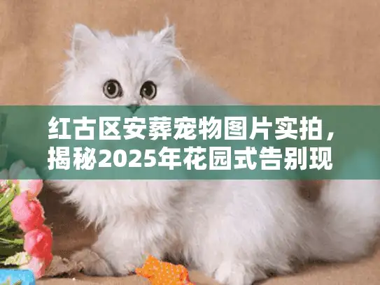 红古区安葬宠物图片实拍，揭秘2025年花园式告别现场