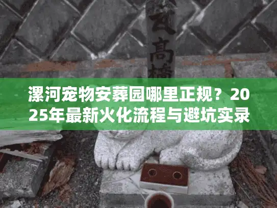 漯河宠物安葬园哪里正规？2025年最新火化流程与避坑实录