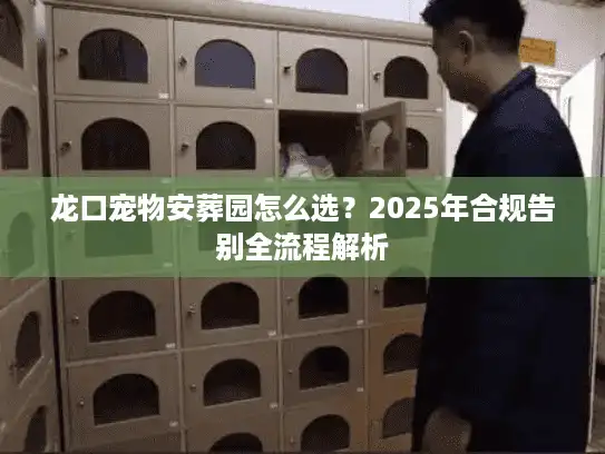 龙口宠物安葬园怎么选？2025年合规告别全流程解析
