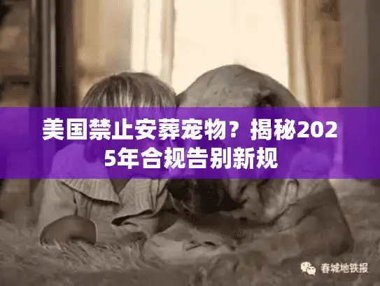 美国禁止安葬宠物？揭秘2025年合规告别新规