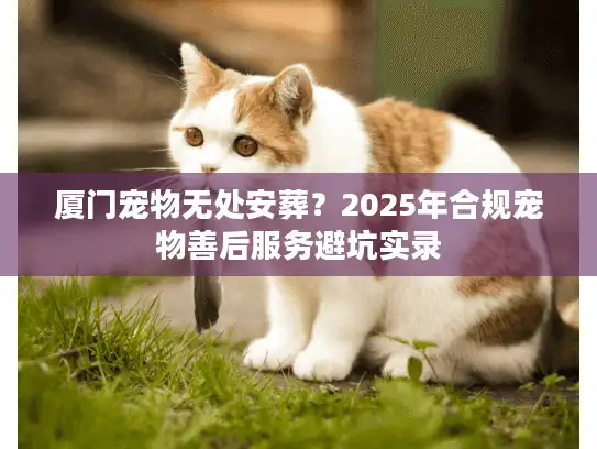 厦门宠物无处安葬？2025年合规宠物善后服务避坑实录
