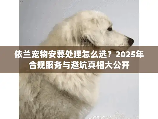 依兰宠物安葬处理怎么选？2025年合规服务与避坑真相大公开