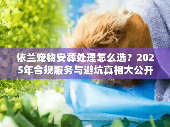 依兰宠物安葬处理怎么选？2025年合规服务与避坑真相大公开