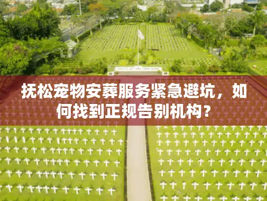 抚松宠物安葬服务紧急避坑，如何找到正规告别机构？