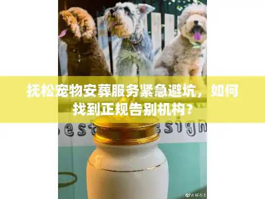 抚松宠物安葬服务紧急避坑，如何找到正规告别机构？