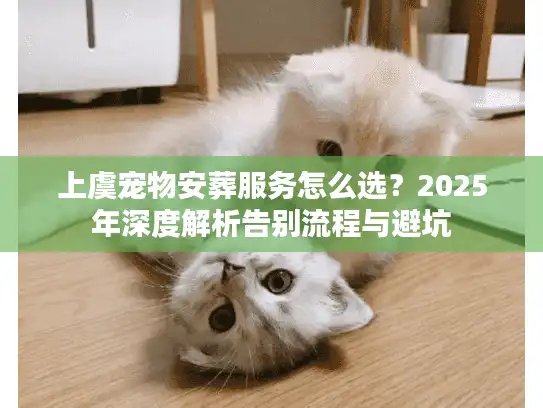 上虞宠物安葬服务怎么选？2025年深度解析告别流程与避坑