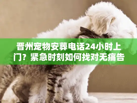 晋州宠物安葬电话24小时上门？紧急时刻如何找对无痛告别服务