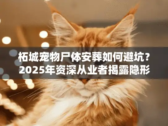 柘城宠物尸体安葬如何避坑？2025年资深从业者揭露隐形收费