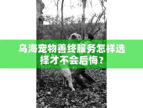 乌海宠物善终服务怎样选择才不会后悔？