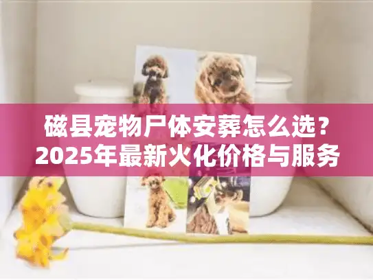 磁县宠物尸体安葬怎么选？2025年最新火化价格与服务避坑