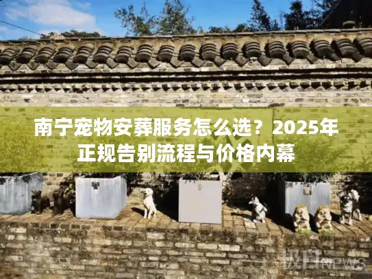 南宁宠物安葬服务怎么选？2025年正规告别流程与价格内幕