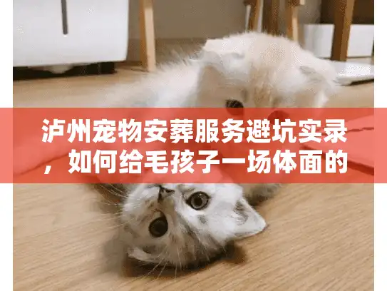 泸州宠物安葬服务避坑实录，如何给毛孩子一场体面的告别？