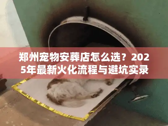 郑州宠物安葬店怎么选？2025年最新火化流程与避坑实录