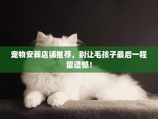 宠物安葬店铺推荐，别让毛孩子最后一程留遗憾！