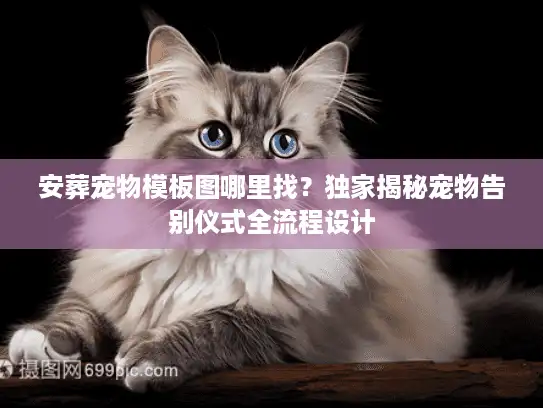安葬宠物模板图哪里找？独家揭秘宠物告别仪式全流程设计