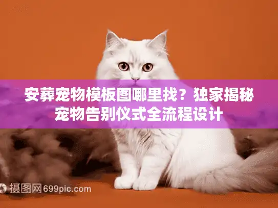 安葬宠物模板图哪里找？独家揭秘宠物告别仪式全流程设计