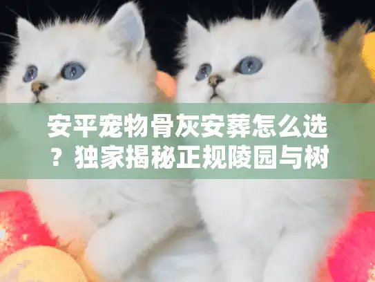 安平宠物骨灰安葬怎么选？独家揭秘正规陵园与树葬内幕