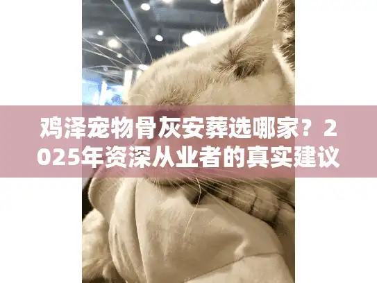 鸡泽宠物骨灰安葬选哪家？2025年资深从业者的真实建议