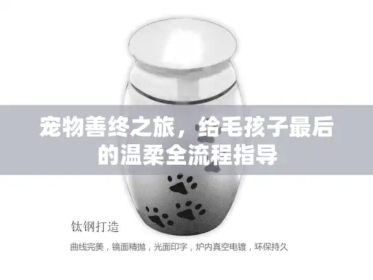 宠物善终之旅，给毛孩子最后的温柔全流程指导