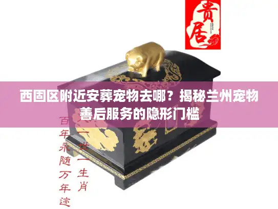 西固区附近安葬宠物去哪？揭秘兰州宠物善后服务的隐形门槛