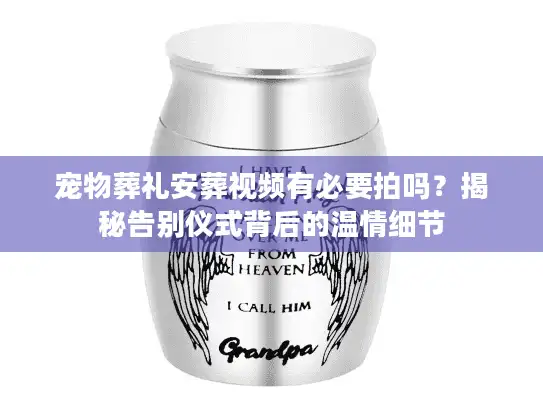 宠物葬礼安葬视频有必要拍吗？揭秘告别仪式背后的温情细节