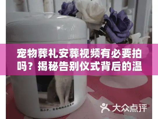 宠物葬礼安葬视频有必要拍吗？揭秘告别仪式背后的温情细节