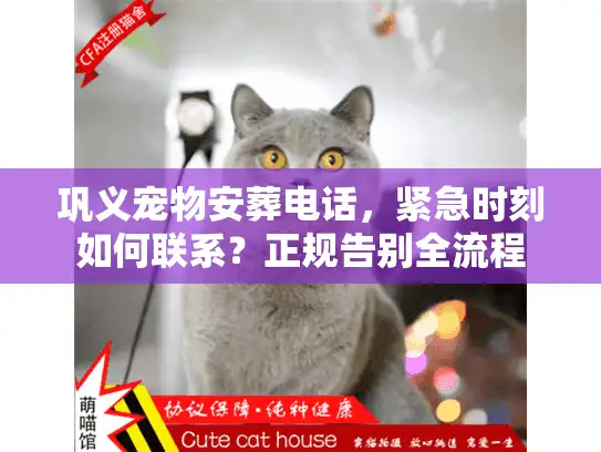 巩义宠物安葬电话，紧急时刻如何联系？正规告别全流程