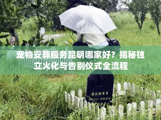 宠物安葬服务昆明哪家好？揭秘独立火化与告别仪式全流程