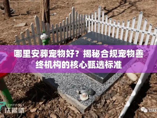 哪里安葬宠物好？揭秘合规宠物善终机构的核心甄选标准