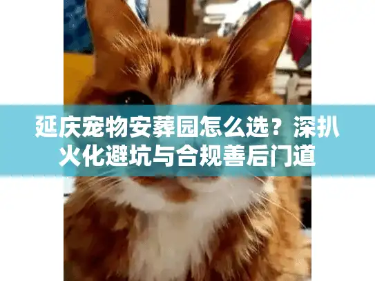 延庆宠物安葬园怎么选？深扒火化避坑与合规善后门道
