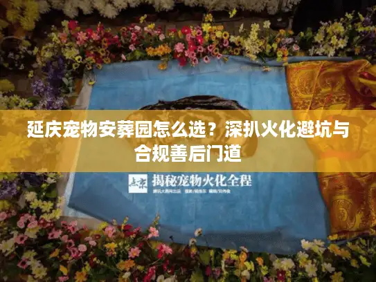 延庆宠物安葬园怎么选？深扒火化避坑与合规善后门道