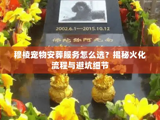 穆棱宠物安葬服务怎么选？揭秘火化流程与避坑细节