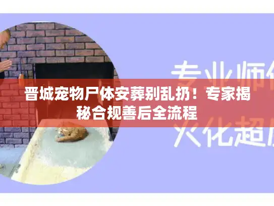 晋城宠物尸体安葬别乱扔！专家揭秘合规善后全流程