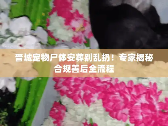 晋城宠物尸体安葬别乱扔！专家揭秘合规善后全流程