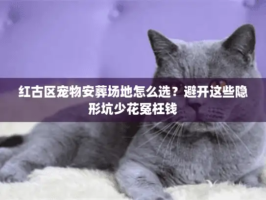 红古区宠物安葬场地怎么选？避开这些隐形坑少花冤枉钱