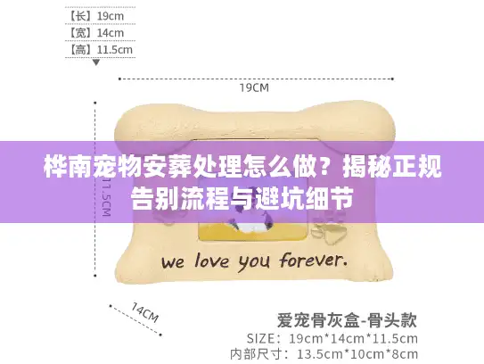桦南宠物安葬处理怎么做？揭秘正规告别流程与避坑细节