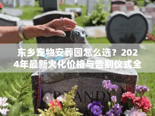 东乡宠物安葬园怎么选？2024年最新火化价格与告别仪式全解析