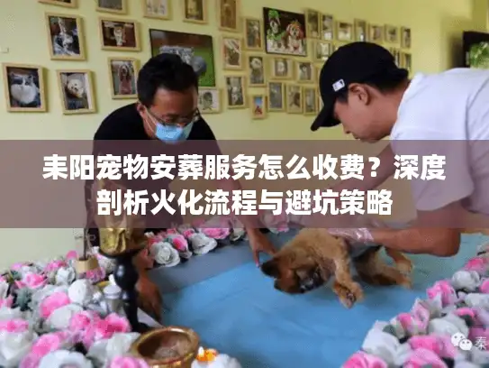 耒阳宠物安葬服务怎么收费？深度剖析火化流程与避坑策略