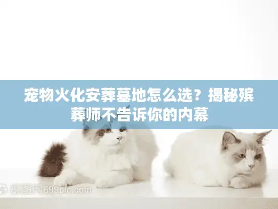 宠物火化安葬墓地怎么选？揭秘殡葬师不告诉你的内幕