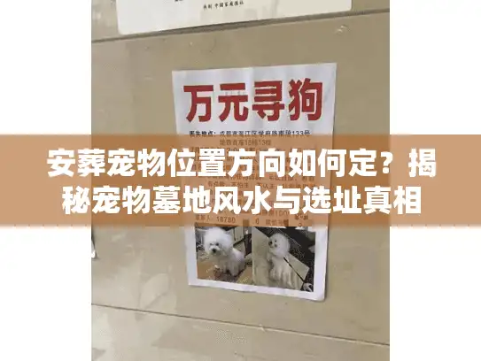安葬宠物位置方向如何定？揭秘宠物墓地风水与选址真相