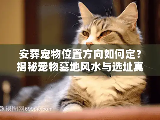 安葬宠物位置方向如何定？揭秘宠物墓地风水与选址真相