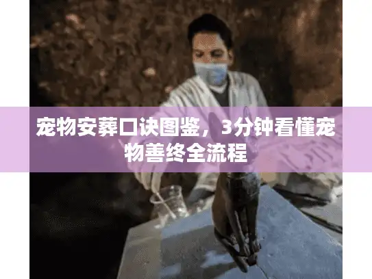 宠物安葬口诀图鉴，3分钟看懂宠物善终全流程