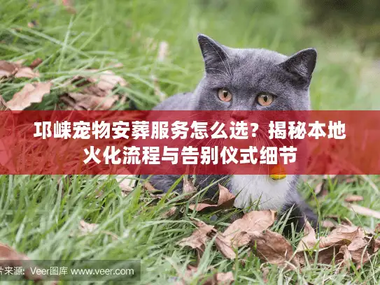 邛崃宠物安葬服务怎么选？揭秘本地火化流程与告别仪式细节