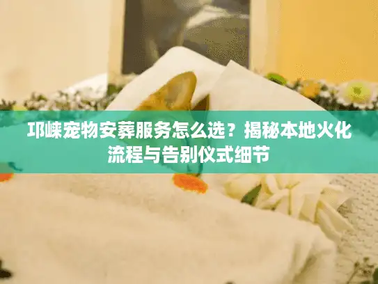 邛崃宠物安葬服务怎么选？揭秘本地火化流程与告别仪式细节