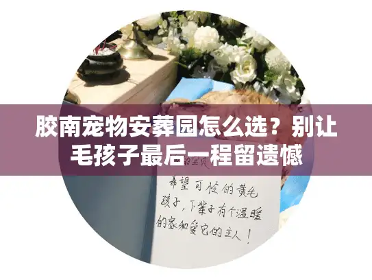 胶南宠物安葬园怎么选？别让毛孩子最后一程留遗憾